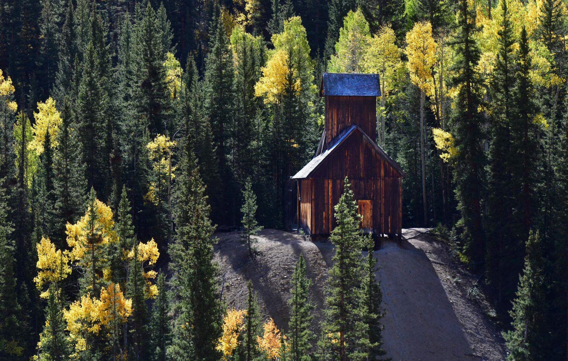 100619-news-aspens 08.JPG